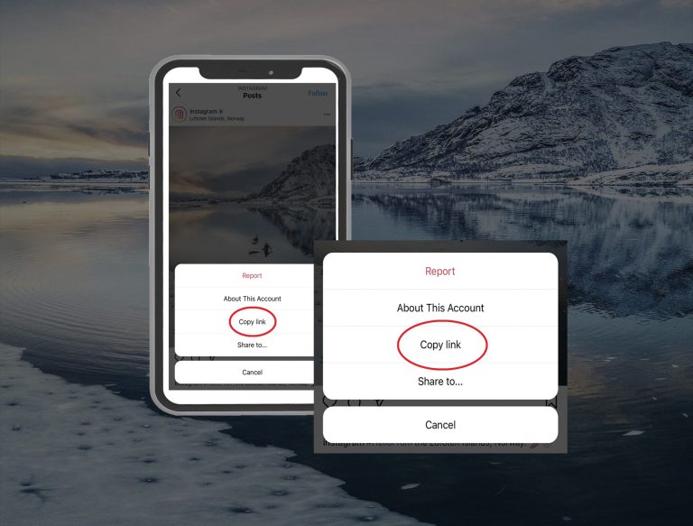 Instagram Reels Downloader Experiment We will All Learn From