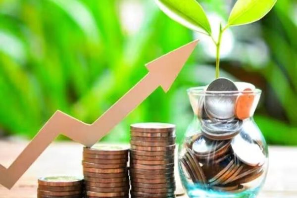 How SIP Investing Is Structured Across Mutual Fund AMCs
